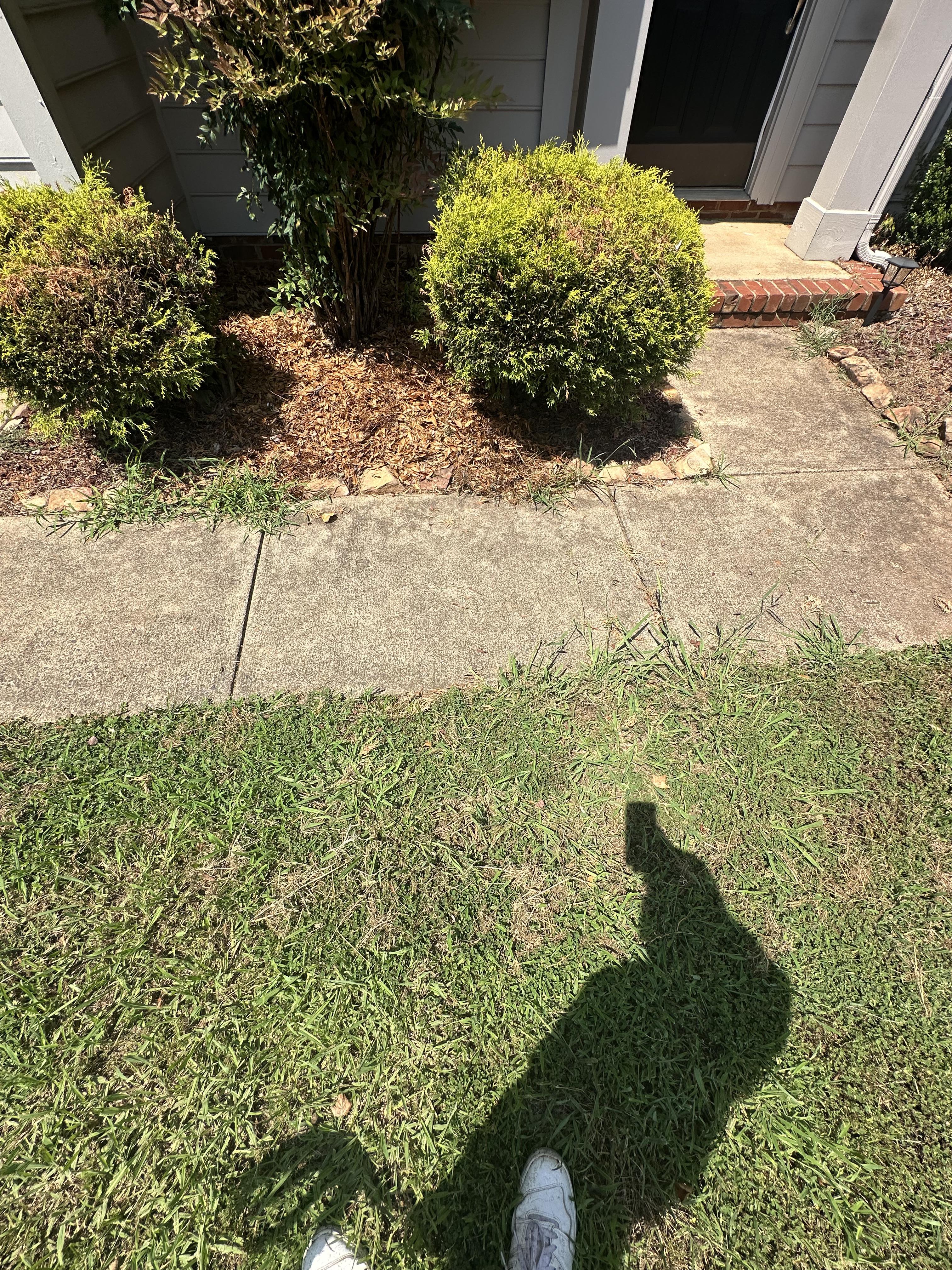 Before pressure washing photo showing dirty concrete