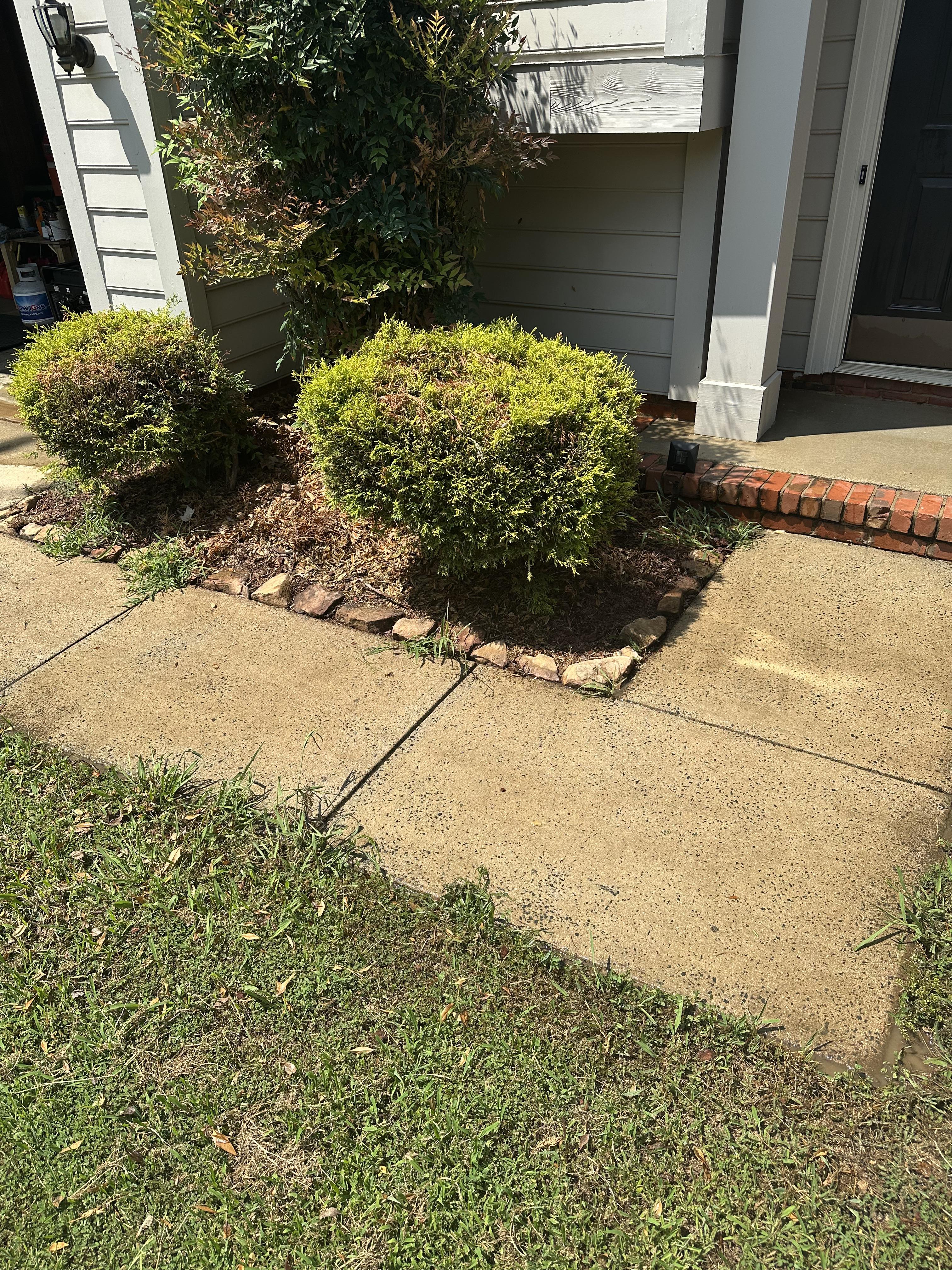 After pressure washing photo showing clean concrete
