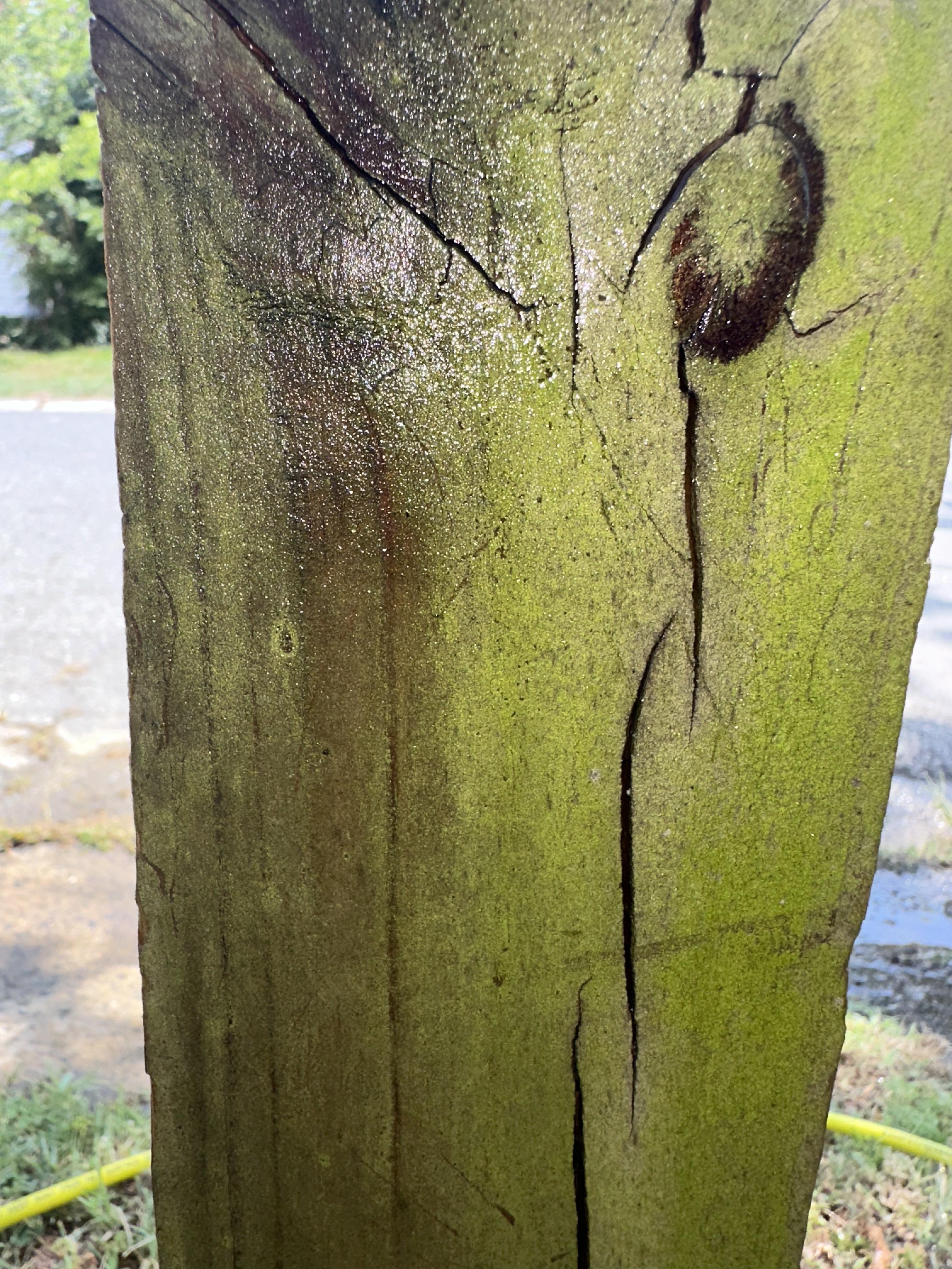 Before wood cleaning photo showing green buildup on a wood post