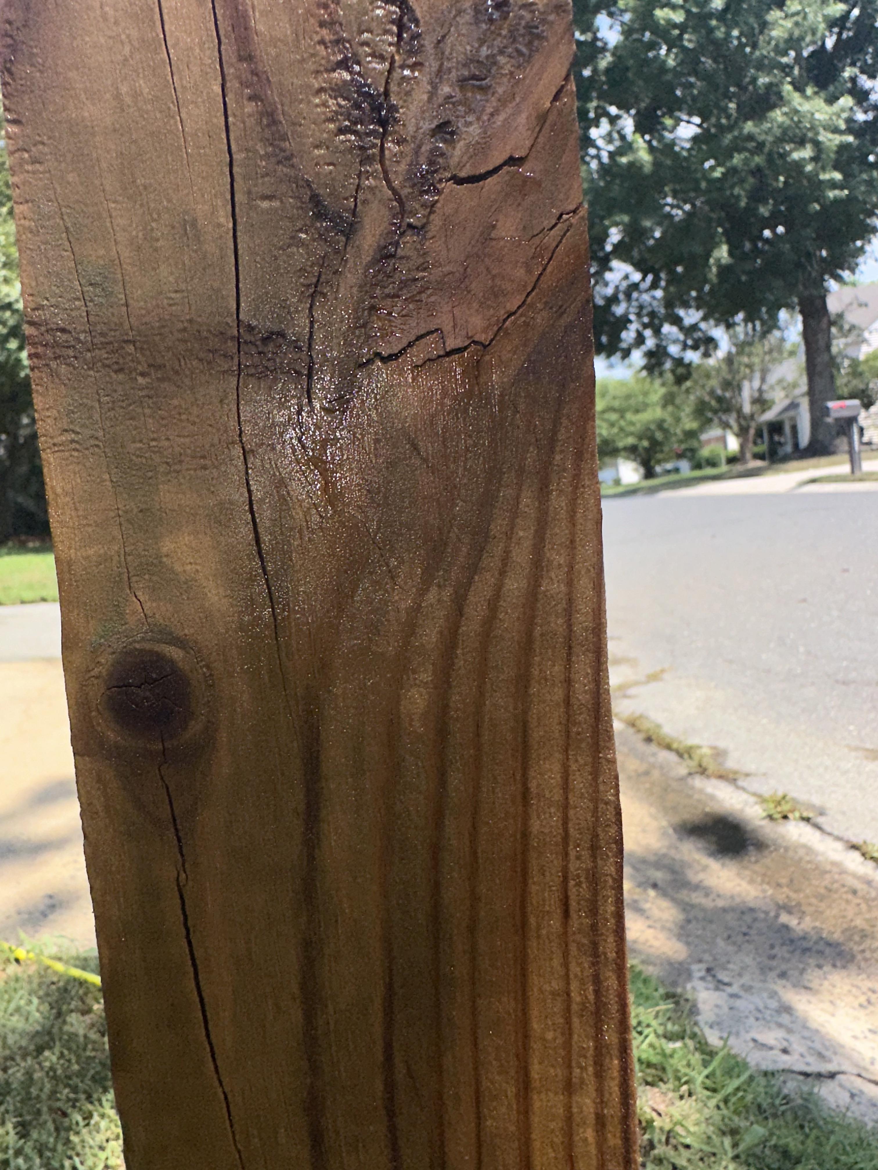 After wood cleaning photo showing the cleaned wood post
